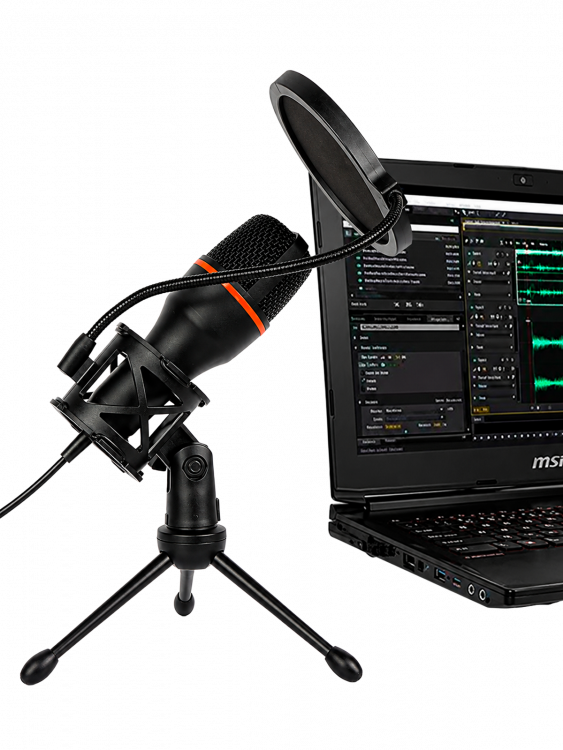 Микрофон для компьютера игровой для стрима Орбита OT-PCS07